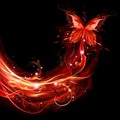 InsightfulButterfly