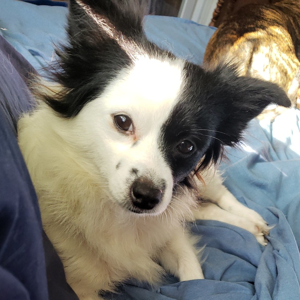 MasterMichelle Ministry